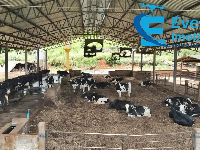 Imagem 14: 0 Fazenda / sítio com 5 dormitórios