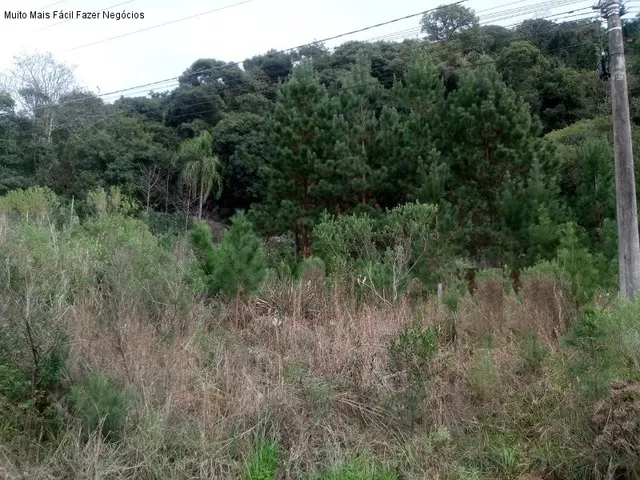 Imagem 2: Terreno Comercial em Nova Petrópolis - Rs, Linha Imperial