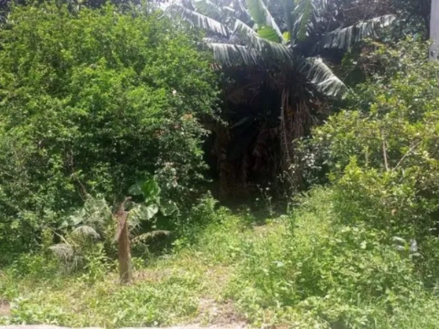 Imagem 6: Terreno a Venda em Sp Vila Nina
