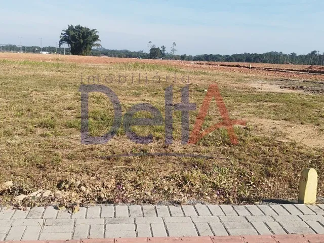Imagem 9: Terreno Residencial em Araquari - Sc, Rio do Morro