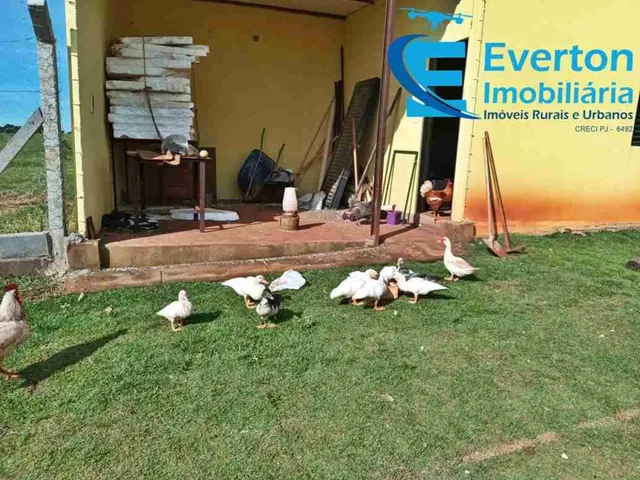 Imagem 5: 0 Chácara com 2 dormitórios