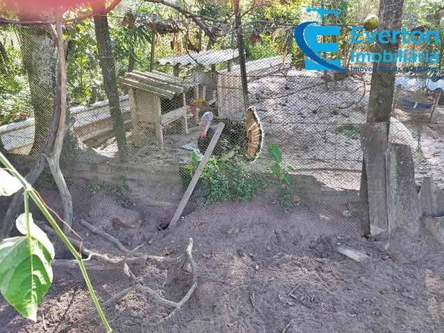 Imagem 8: 0 Chácara com 3 dormitórios