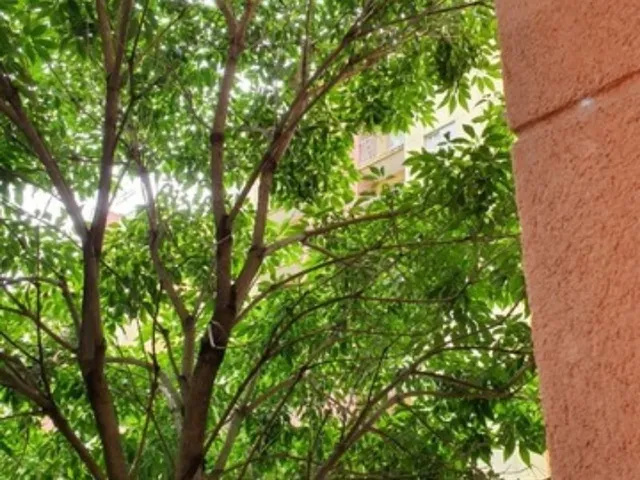 Imagem 3: Apartamento a Venda em Sp Itaquera