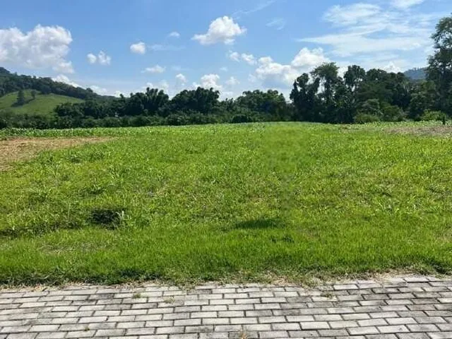 Imagem 12: Terreno À Venda, Rio da Luz - Jaraguá do Sul/Sc