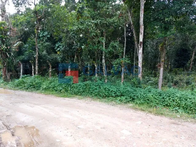 Imagem 5: Terreno À Venda na Praia de Boracéia em São Sebastião - Sp