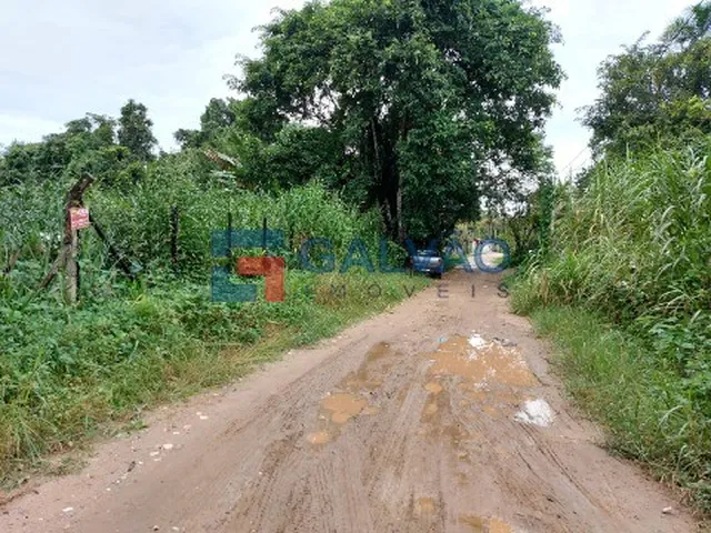 Imagem 3: Terreno À Venda na Praia de Boracéia em São Sebastião - Sp