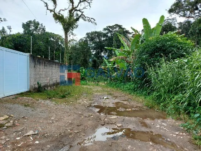Imagem 6: Terreno À Venda na Praia de Boracéia em São Sebastião - Sp