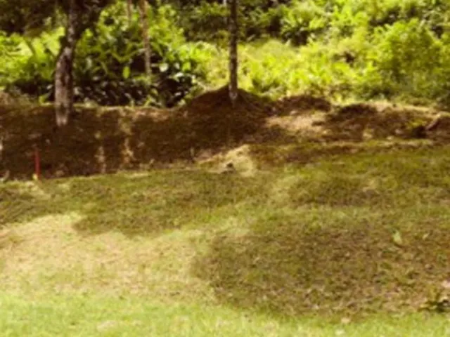 Imagem: TERRENO A VENDA EM UBATUBA SANTA RITA