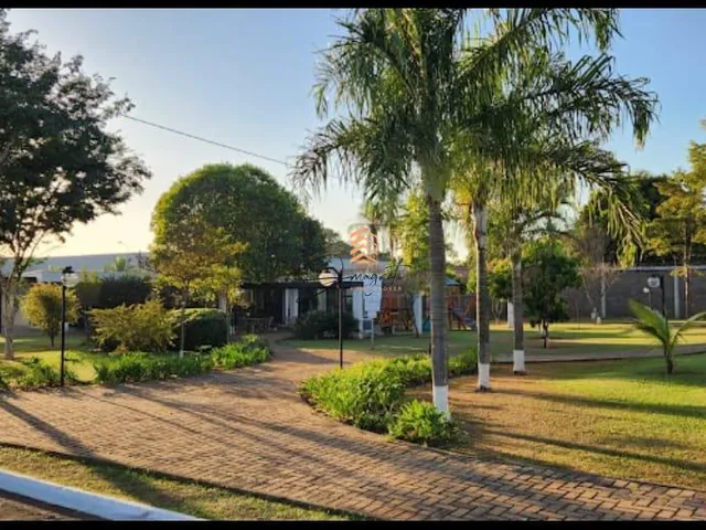 Imagem 3: LINDO LOTE PLANO 1.000M² RESIDENCIAL JATOBÁS