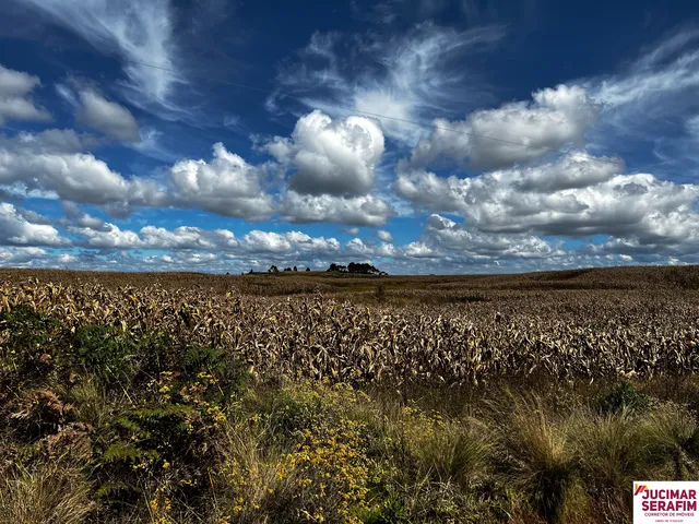 Imagem: Fazenda a Venda na Coxilha Rica Lages Serra