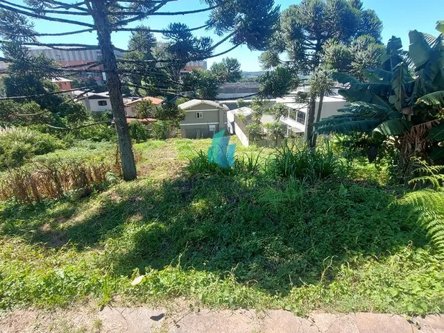 Imagem: Terreno à venda no bairro Santo Antão