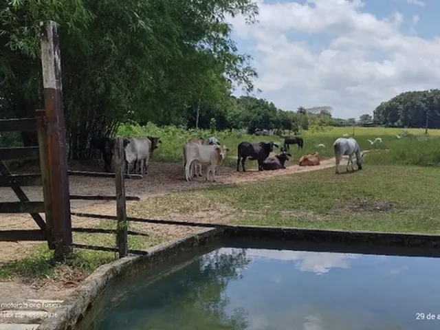 Imagem: R$7 Milhões Fazenda Desativada com 190