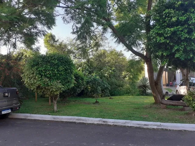Imagem: IEJP 130 Lote TE0019
