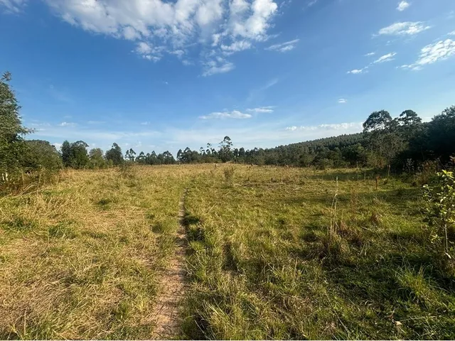 Imagem 13: Cdb 5000 610371015-14 - Cdb 2500 610371015-14