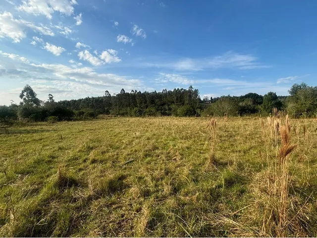 Imagem 12: Cdb 5000 610371015-14 - Cdb 2500 610371015-14