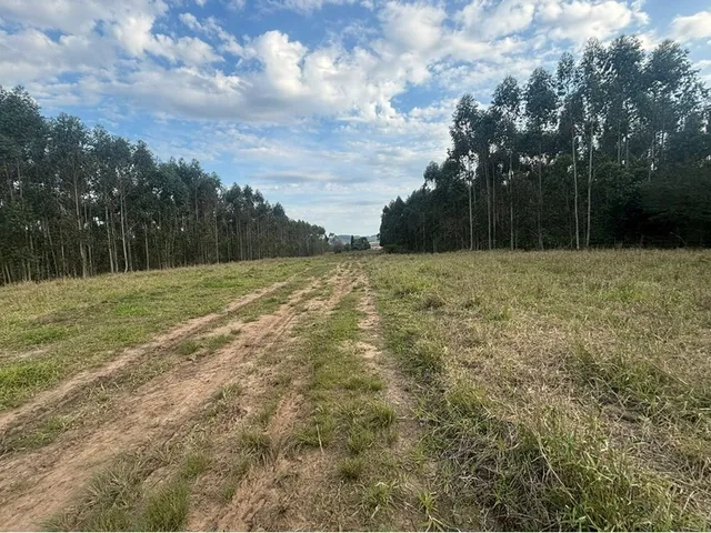 Imagem 9: Cdb 5000 610371015-14 - Cdb 2500 610371015-14