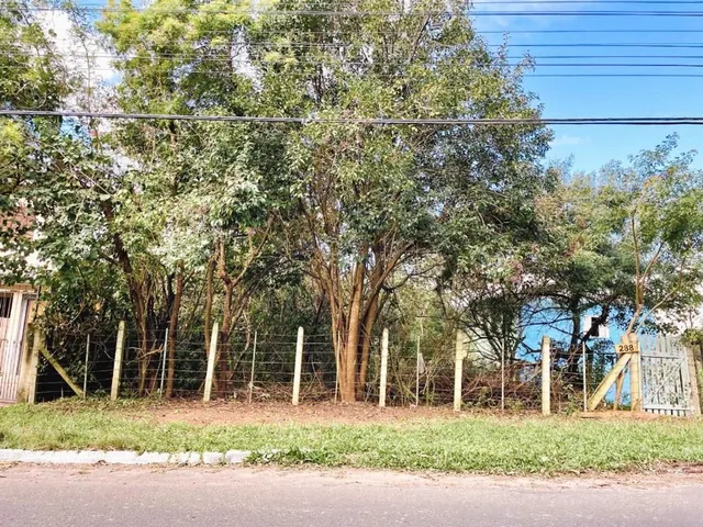 Imagem: JTN 288 Lote TE0028 - JTN 288 Lote TE0028