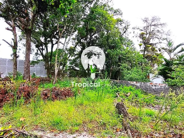 Imagem 4: Terreno À Venda Murado, Shangri-Lá, Pontal do Parana - Pr