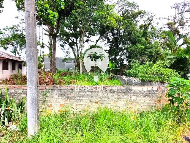 Imagem 6: Terreno À Venda Murado, Shangri-Lá, Pontal do Parana - Pr