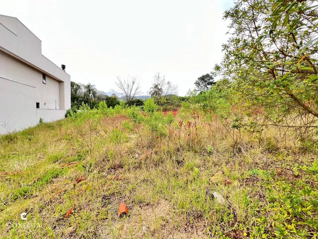Imagem 3: Terreno À Venda no Bairro União em Dois Irmãos/Rs