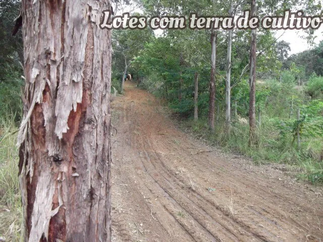 Imagem 11: 1.000Metros 100% Plano, Entrada Mais 84X de R$500,00 Fixas. (Temos Varias Opções)