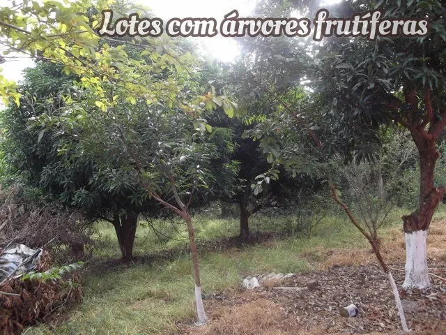 Imagem 5: 1.000Metros 100% Plano, Entrada Mais 84X de R$500,00 Fixas. (Temos Varias Opções)