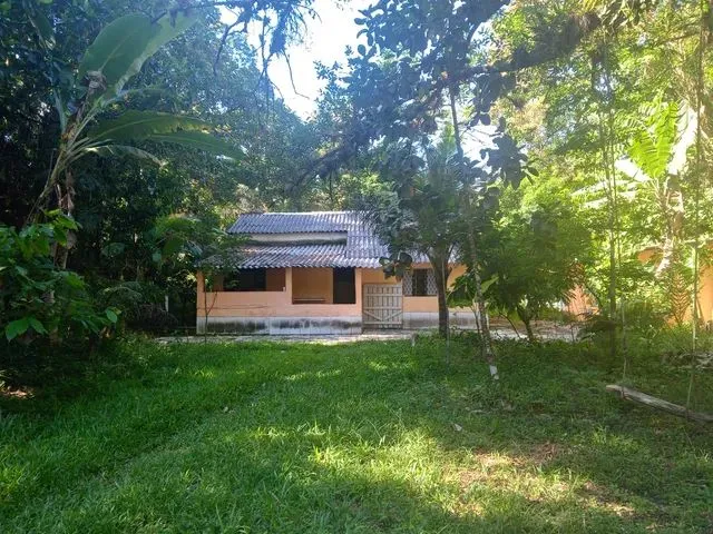 Imagem: Fazenda/Sítio/Chácara para Venda Tem 40