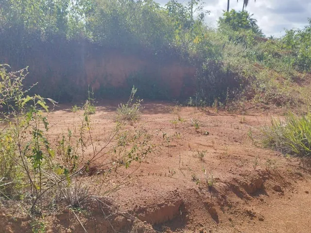 Imagem 2: Terreno Residencial para Venda, Malícia ( Abrantes ), Camaçari, 198,00 M² Área Total