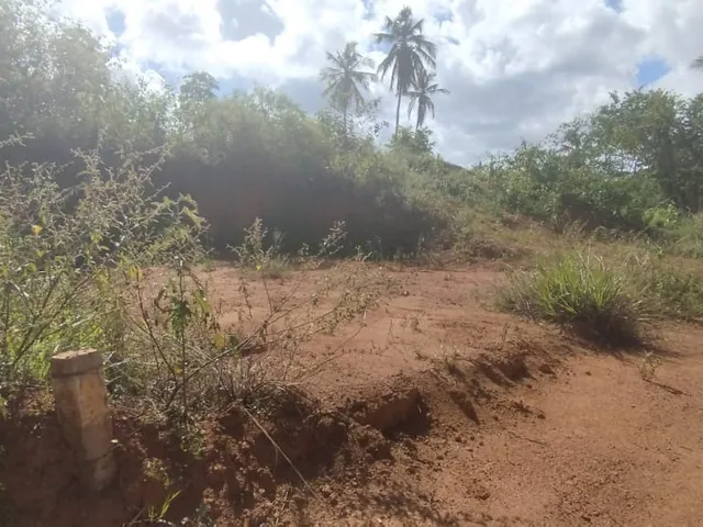 Imagem 4: Terreno Residencial para Venda, Malícia ( Abrantes ), Camaçari, 198,00 M² Área Total