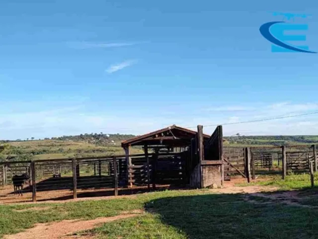 Imagem: Fazenda no Município de João Pinheiro