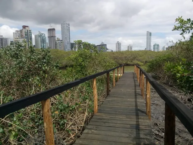 Imagem 4: Terreno Residencial em Itajaí - Sc, Fazenda