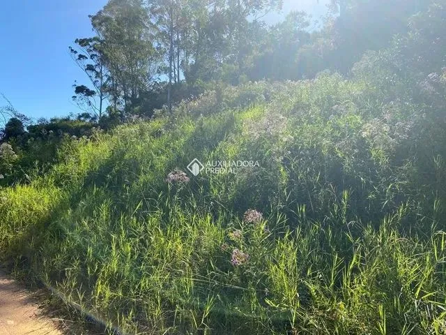 Imagem 11: Imaruí - Casa Padrão - Centro