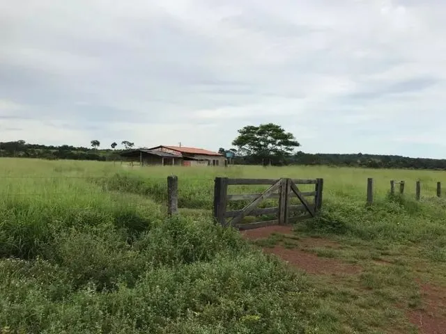 Imagem: Fazenda Dupla Aptidão a Venda Pedro Afonso