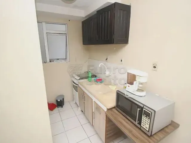 Imagem 7: Apartamento Padrão em Pelotas