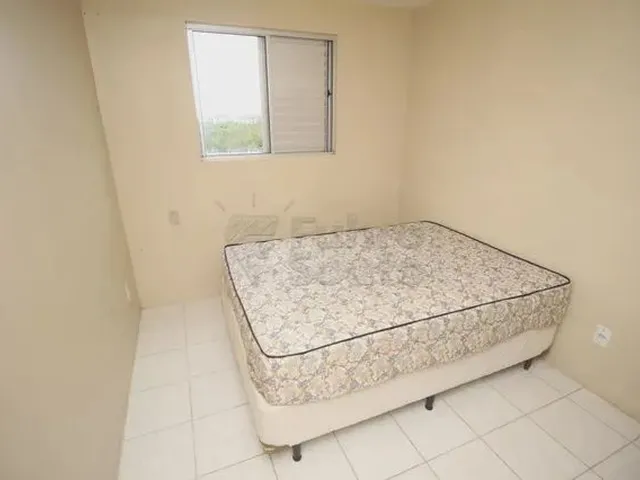 Imagem 14: Apartamento Padrão em Pelotas
