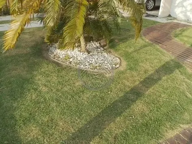 Imagem 3: Florianópolis - Casa Padrão - Campeche