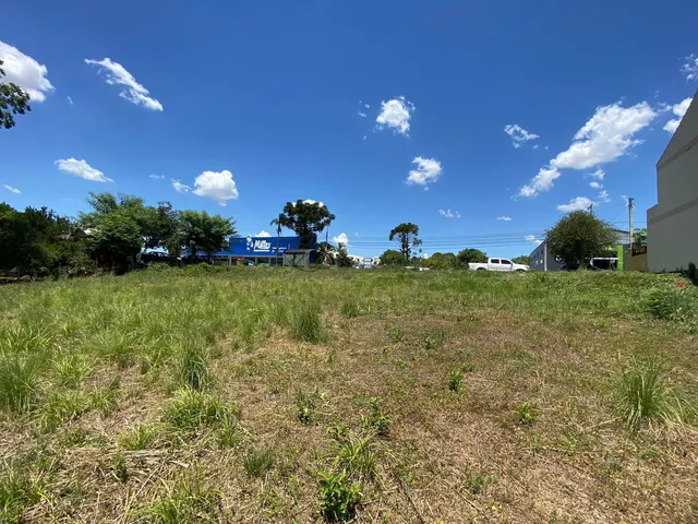Imagem 2: Terreno Comercial em Vera Cruz