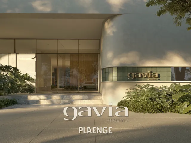 Imagem: Gavia Moema - Gavia Moema
