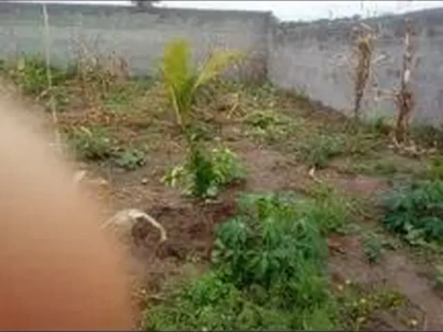 Imagem: Vende-Se Terreno 800M