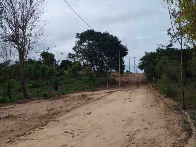 Imagem 2: Oportunidade de Ter Seu Sítio em Sauípe!