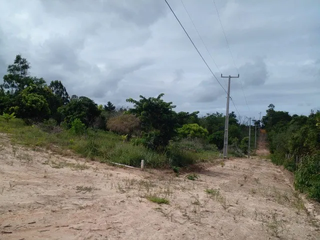 Imagem 3: Oportunidade de Ter Seu Sítio em Sauípe!
