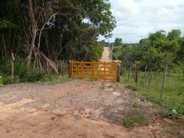 Imagem 5: Oportunidade de Ter Seu Sítio em Sauípe!