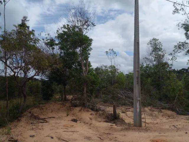 Imagem 8: Oportunidade de Ter Seu Sítio em Sauípe!