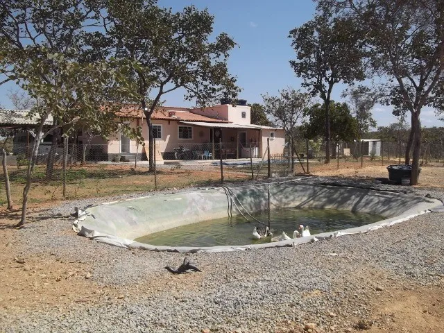 Imagem: Sitio 20.000M² Bem Localizado, com Sauna