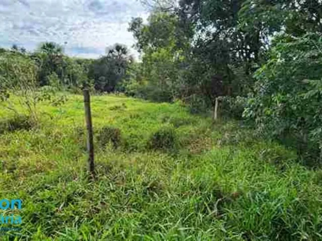 Imagem 4: Sítio no Município de Uberlândia