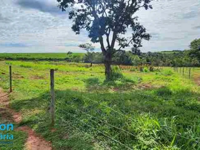 Imagem 2: Sítio no Município de Uberlândia