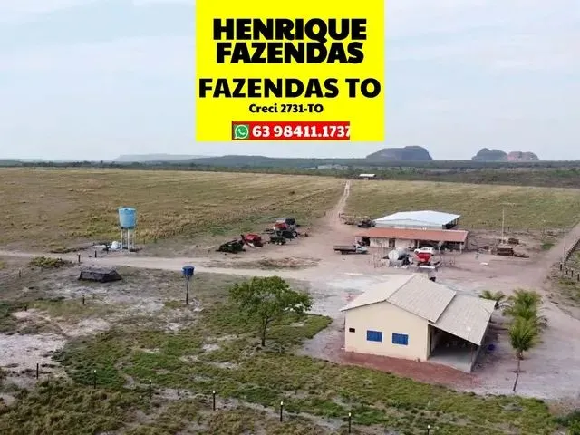 Imagem: Fazenda de Oportunidade Região de Ponte