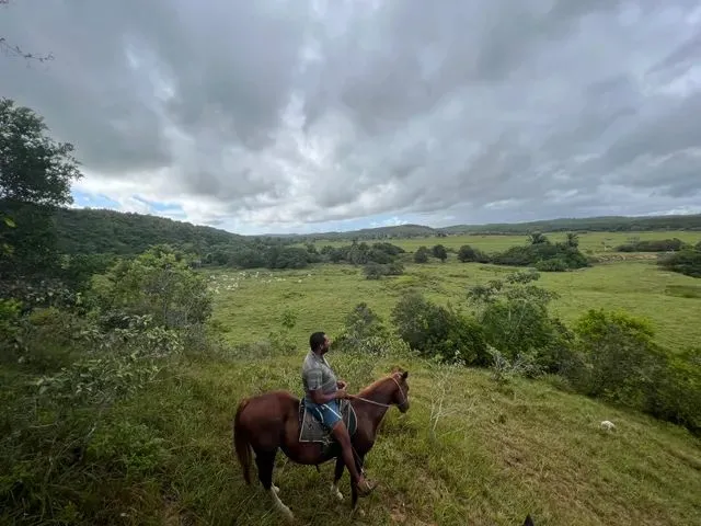 Imagem: Fazenda com 173He - Itanagra - Bahia