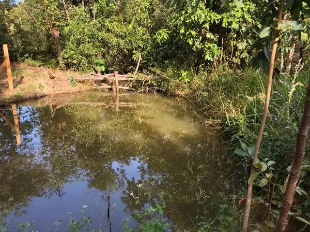 Imagem 14: Chácara em Aragoiânia 6.000Mt2