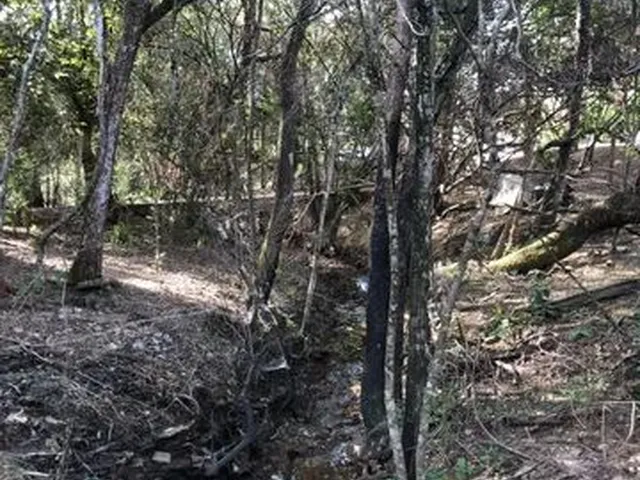 Imagem 15: Chácara em Aragoiânia 6.000Mt2